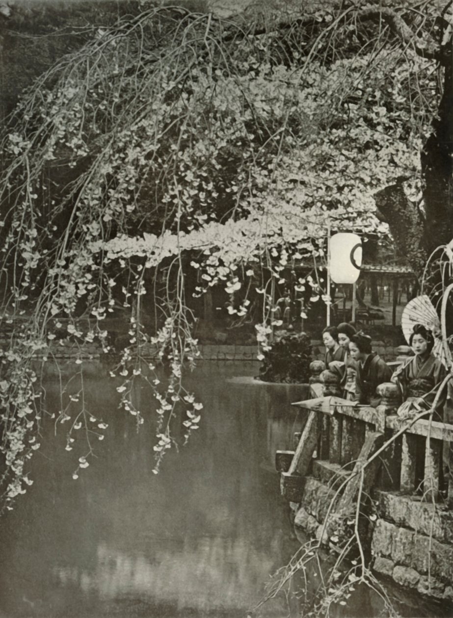 Cseresznyevirágzás ideje Japánban, 1910. alkotó: Herbert Ponting