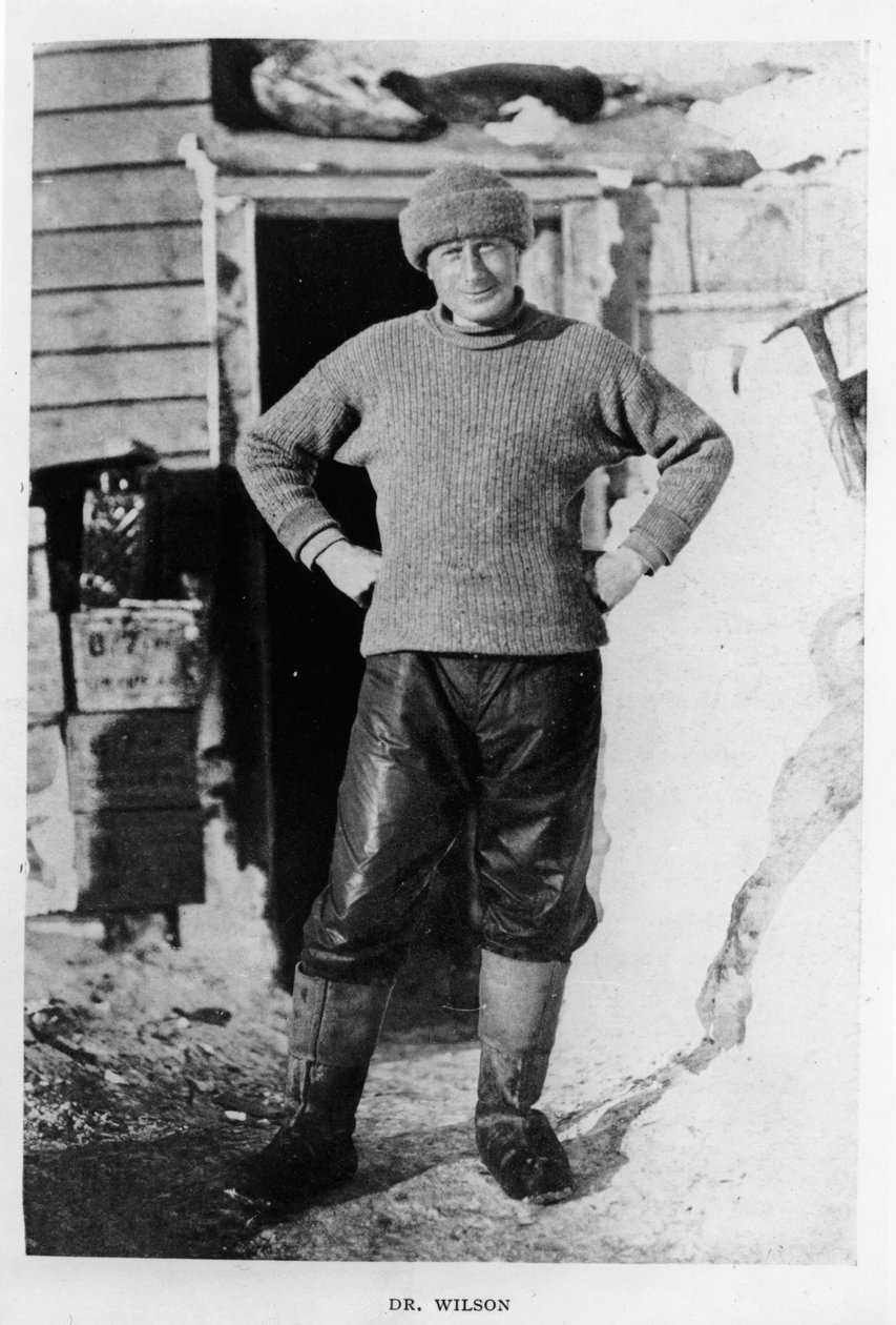 Wilson doktor, 1911 alkotó: Herbert Ponting