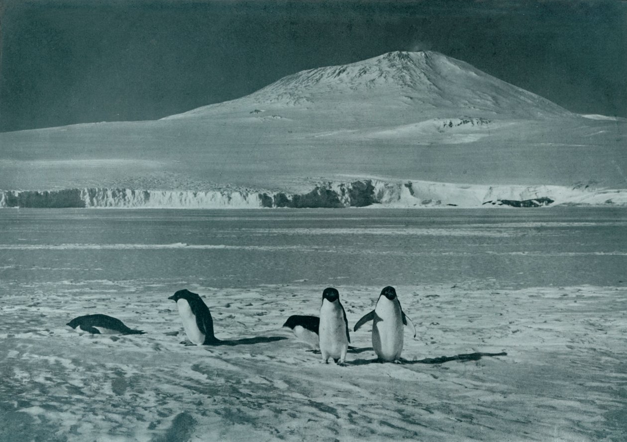 Erebus-hegy, 1911, 1913 alkotó: Herbert Ponting