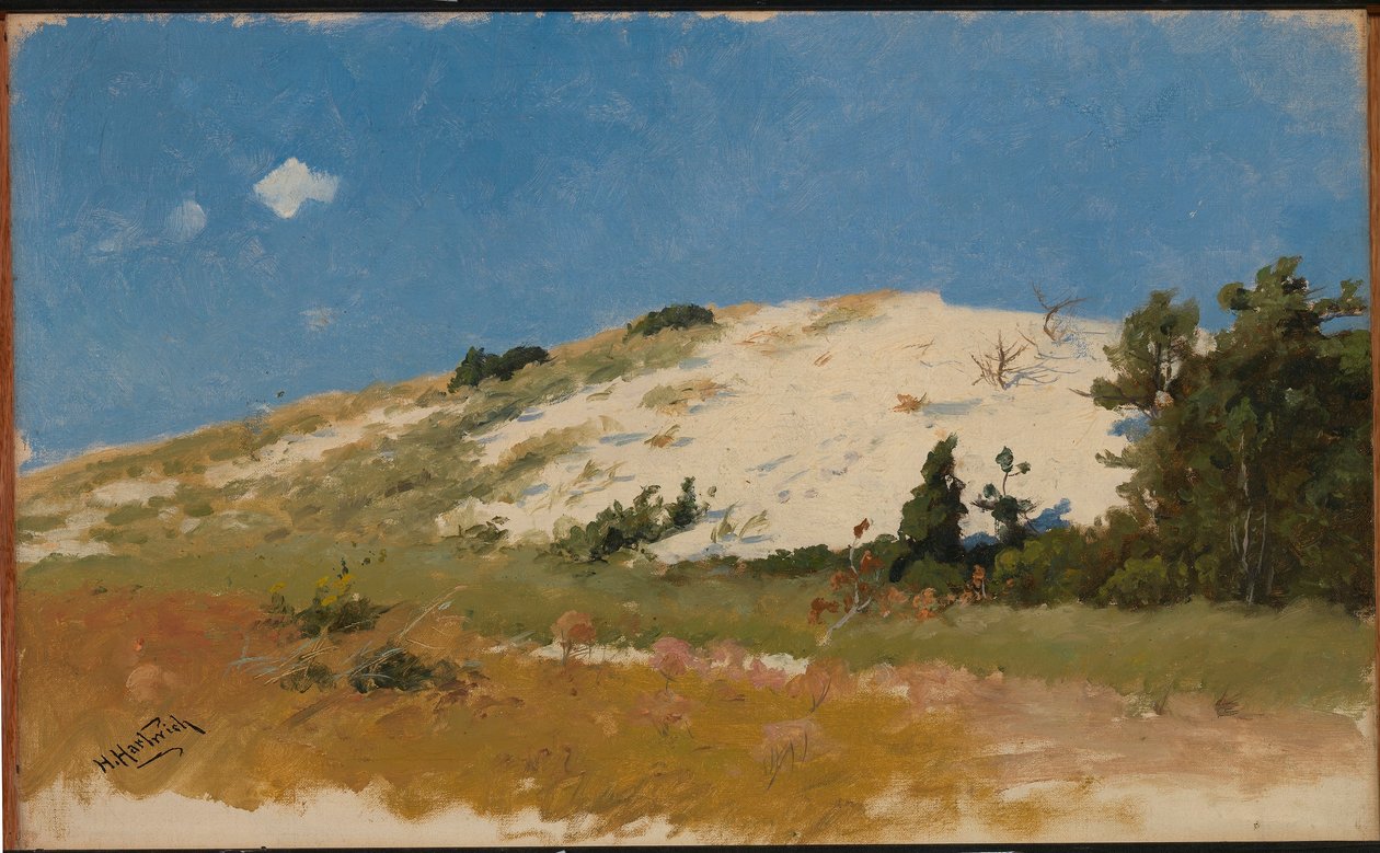 Cape Cod, Homokdűne alkotó: Herman Hartwich