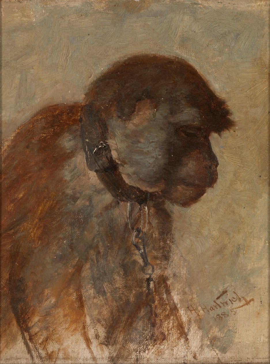 Meditáció alkotó: Herman Hartwich