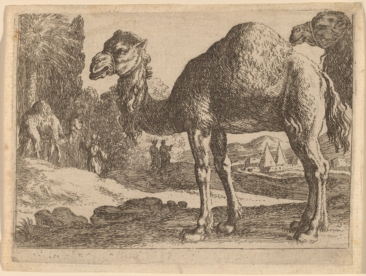 tevék alkotó: Herman van Swanevelt