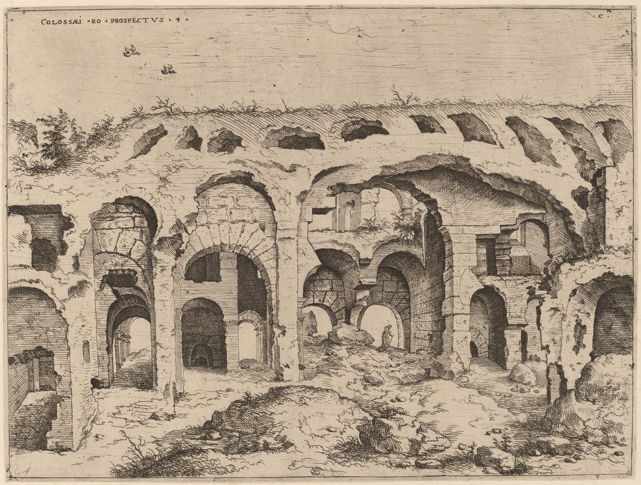 A Colosseum negyedik képe alkotó: Hieronymus Cock