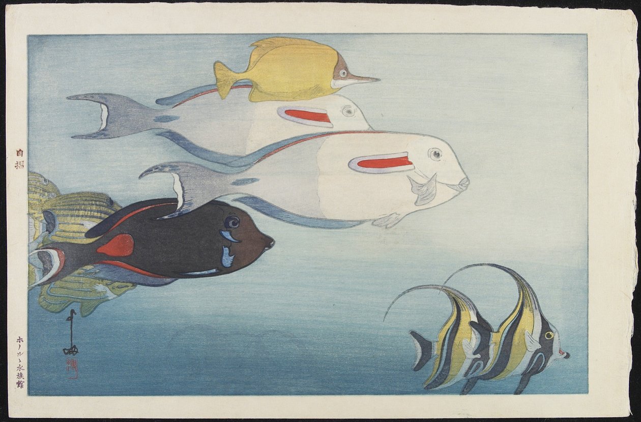 A Honolulu Akvárium alkotó: Hiroshi Yoshida