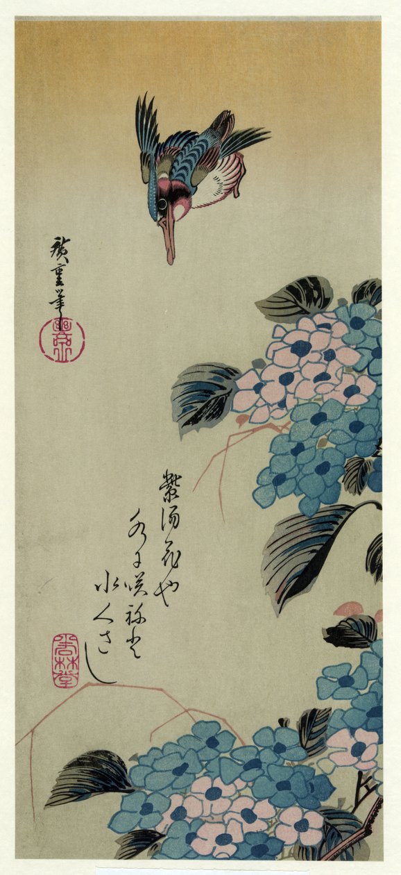 Hortenzia Kingfisher (Hyd rovat GEA terv d arany g halász) alkotó: Utagawa Hiroshige