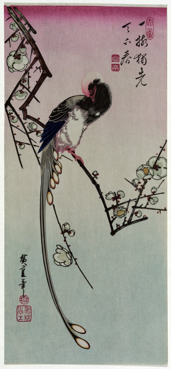 Szilva és hosszú farkú madár alkotó: Utagawa Hiroshige