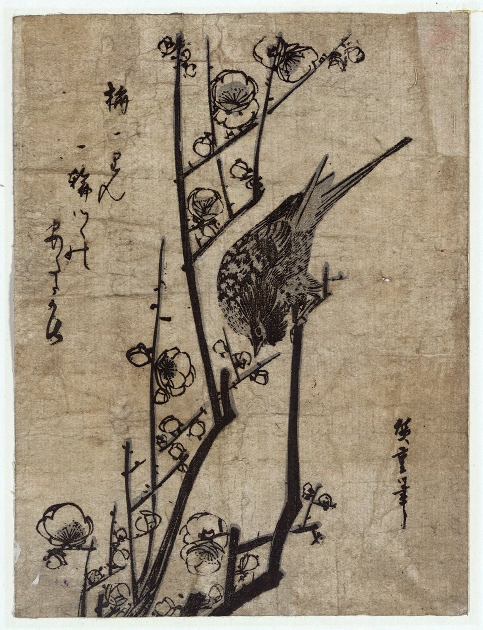 Ume ni Uguisu (Szilvavirág és bokorvirág) alkotó: Utagawa Hiroshige