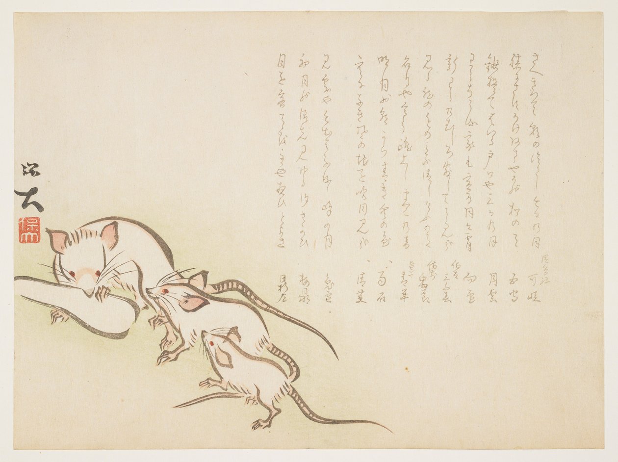 (Fehér egerek), 1864. január alkotó: Hodai