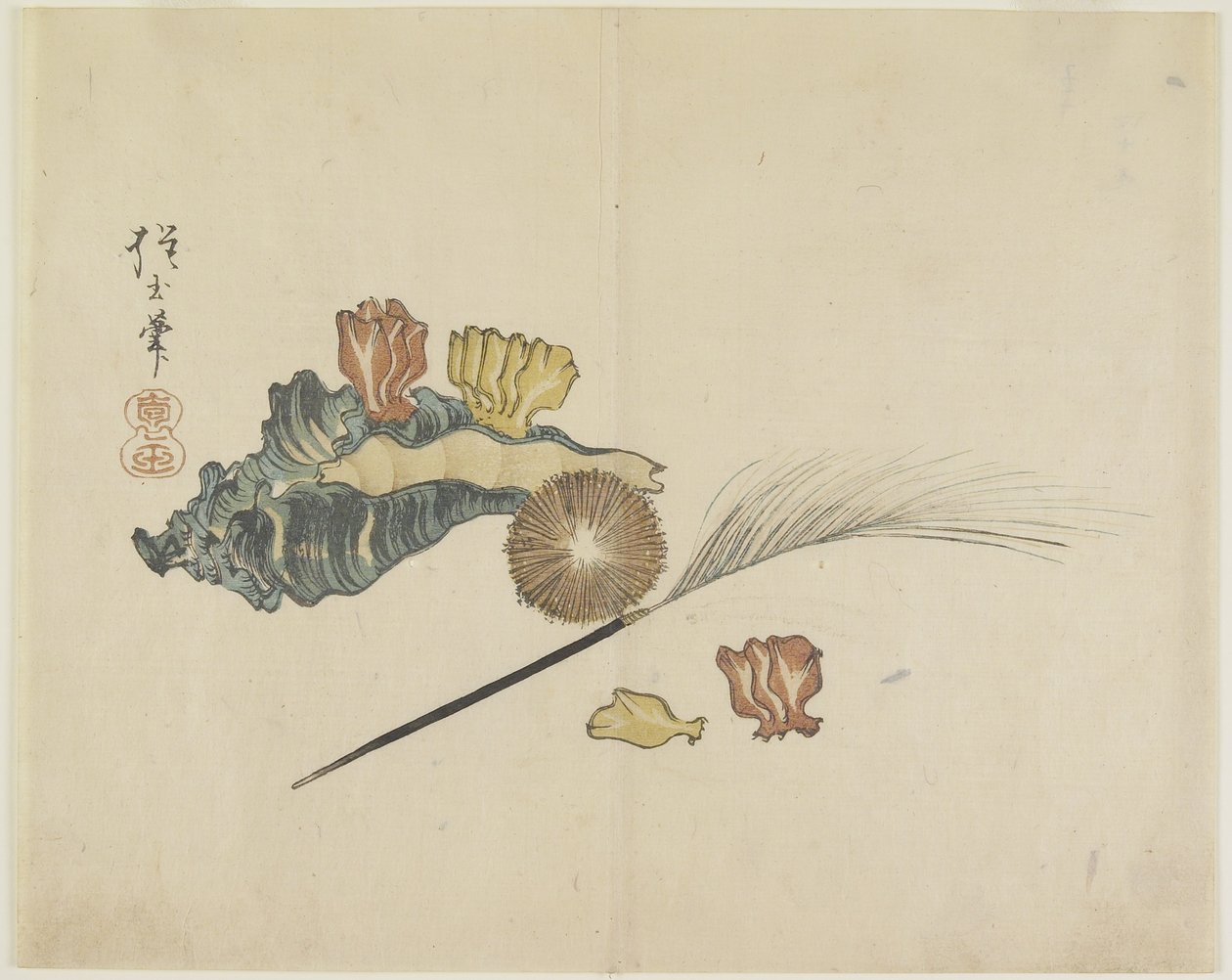 (Kagylók), c. 1830 alkotó: Hogyoku