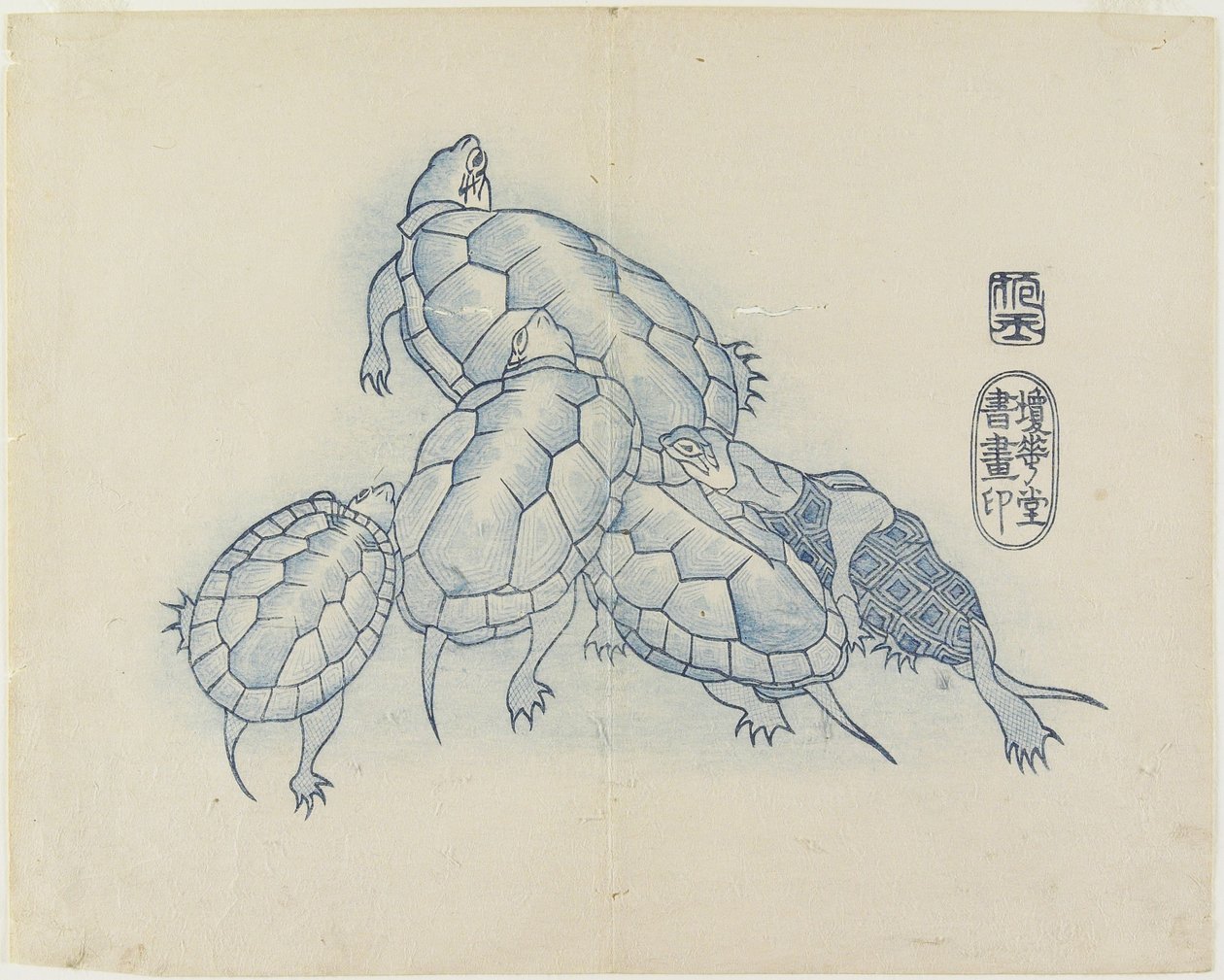 (teknősök), c. 1830 alkotó: Hogyoku
