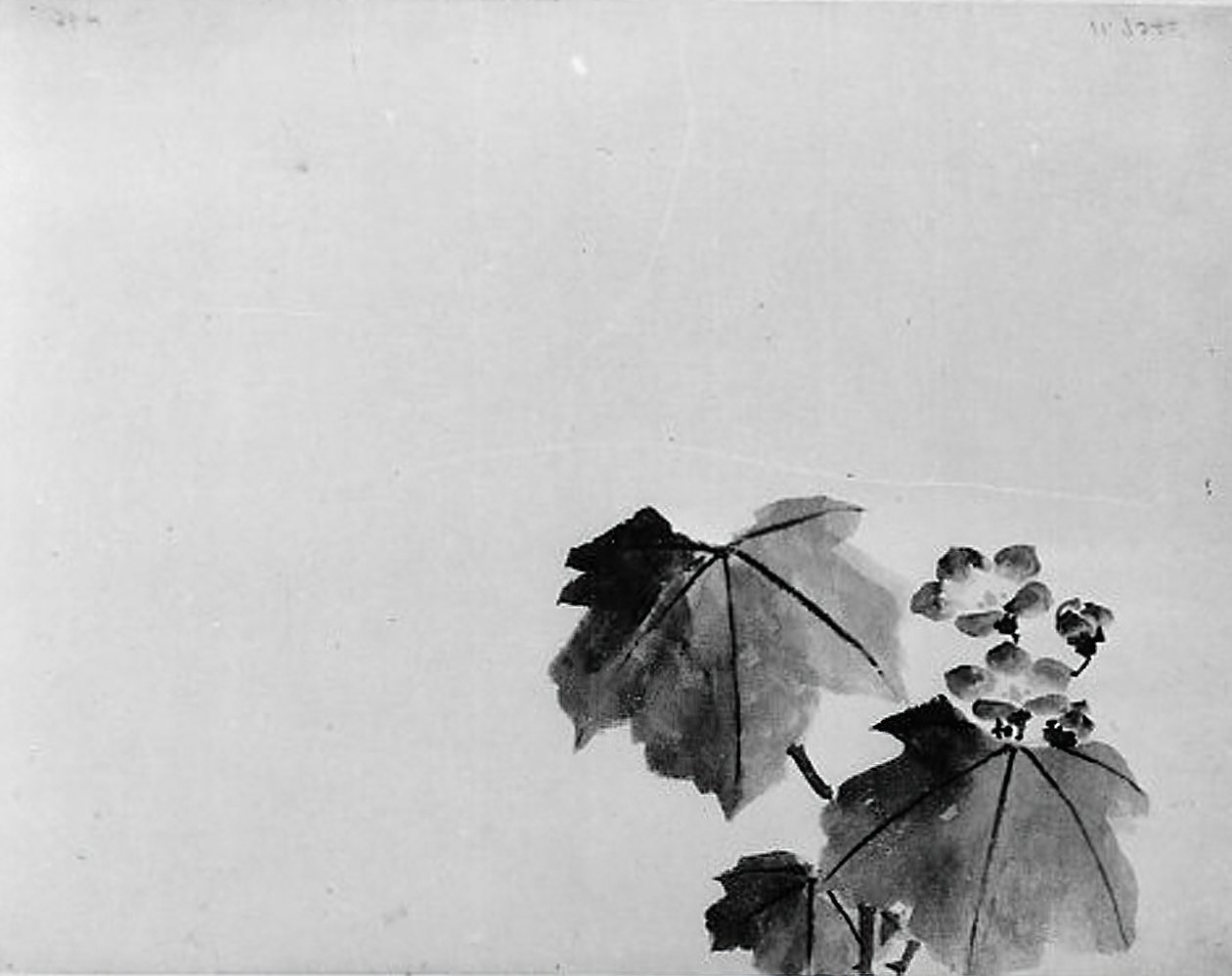 Harangvirág, 19. század. alkotó: Hokusai School.