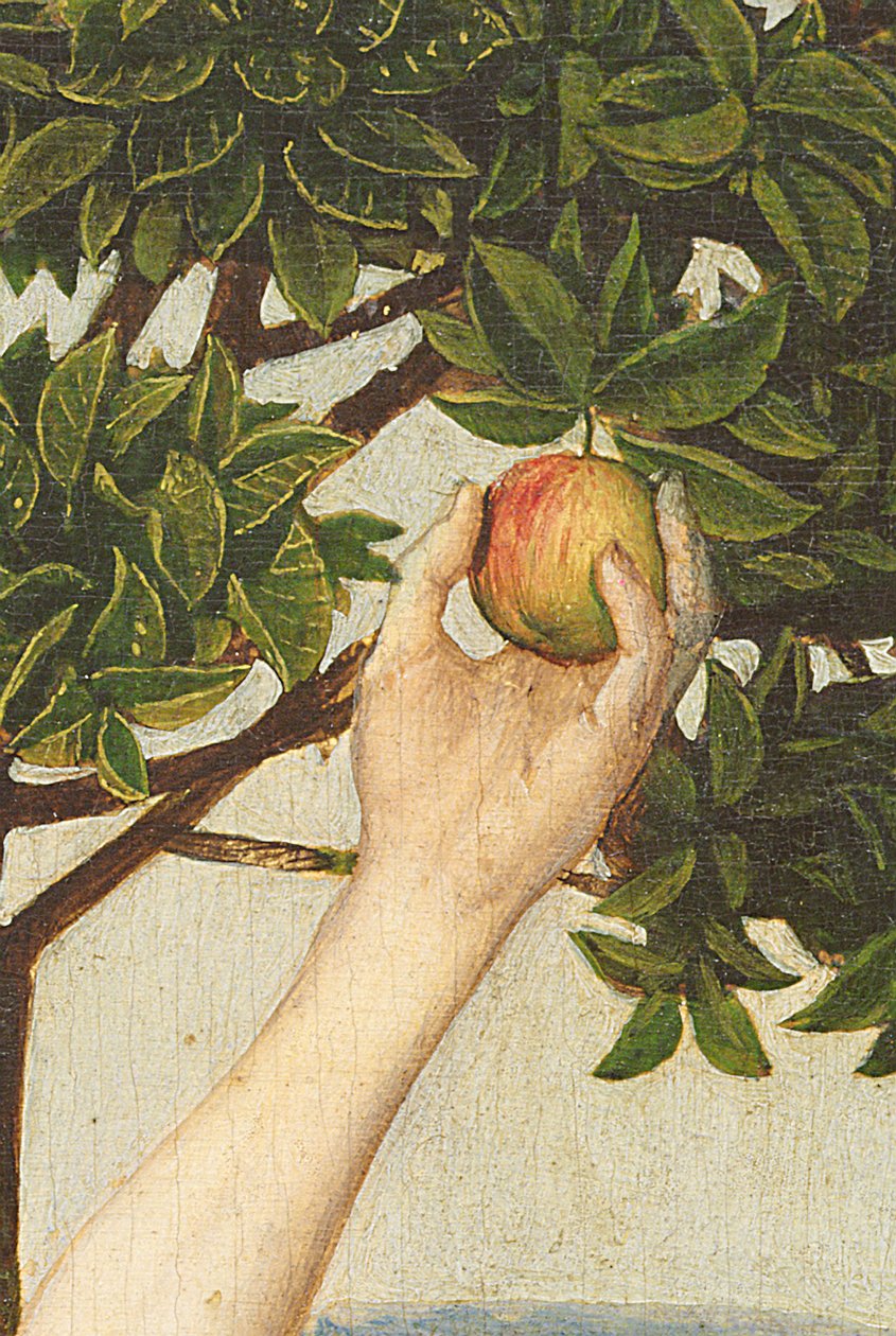 A bukás, 1479 után olaj, panel részlet 13000 alkotó: Hugo van der Goes