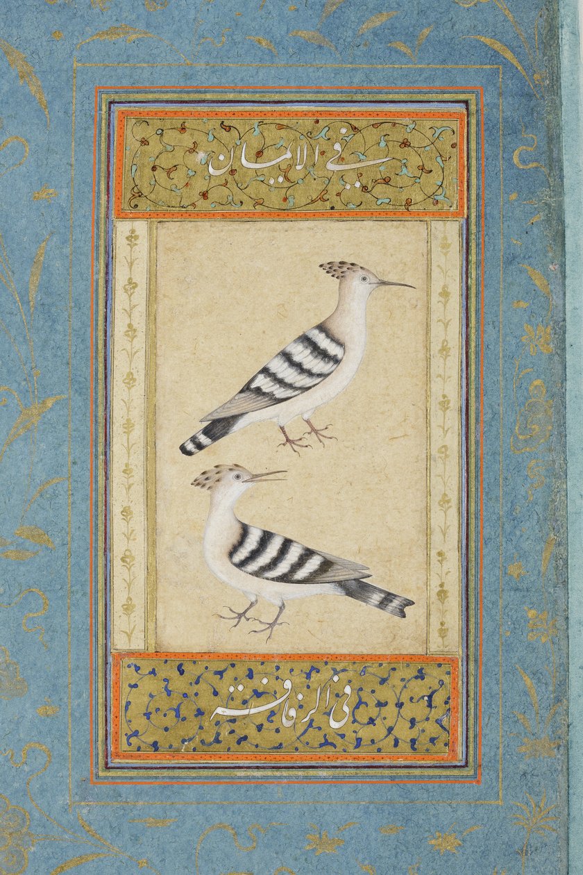 Hoopoes, 1590 körül (átlátszatlan wc és arany papíron) alkotó: Indian School