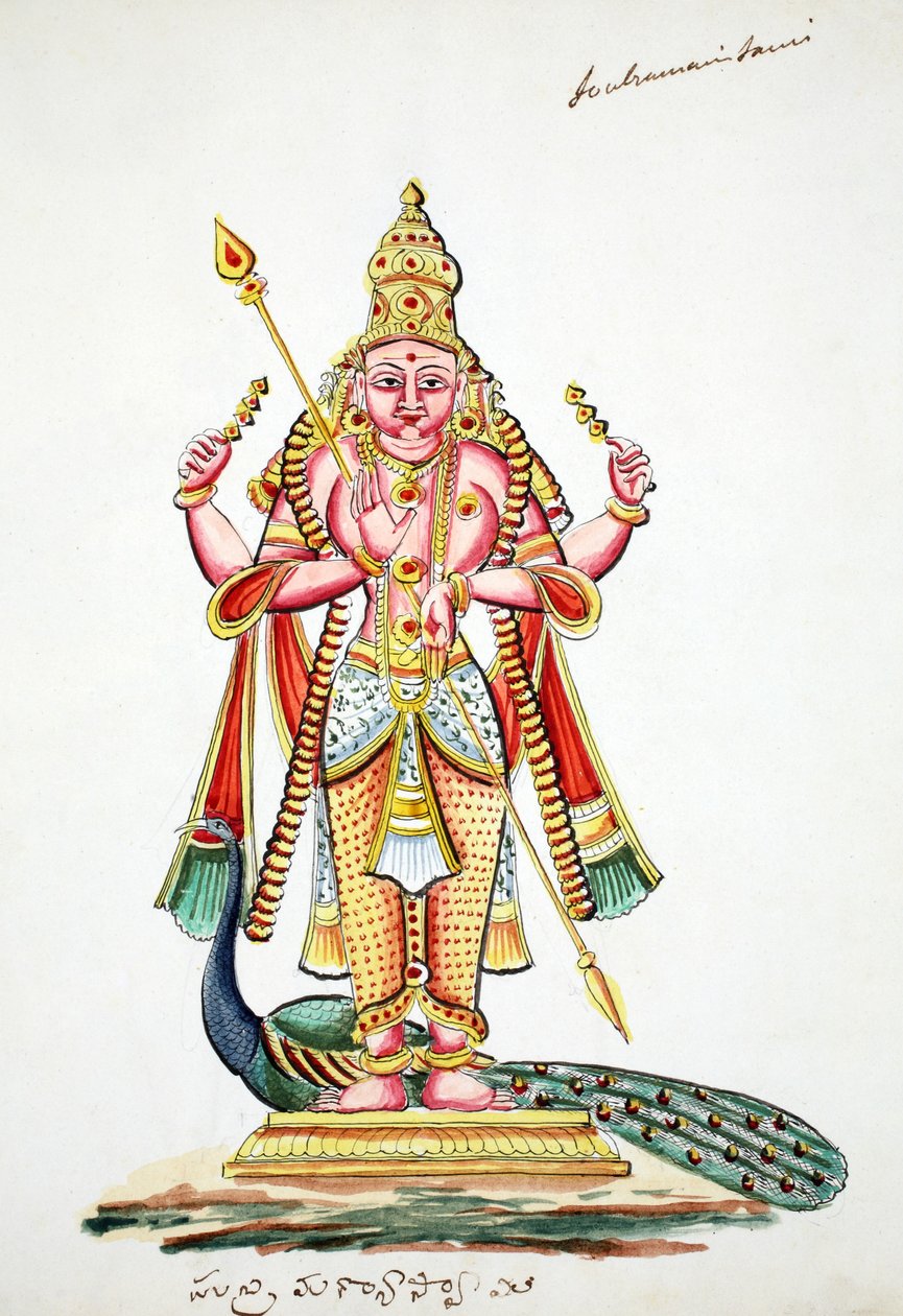 Skanda (wc papíron) alkotó: Indian School