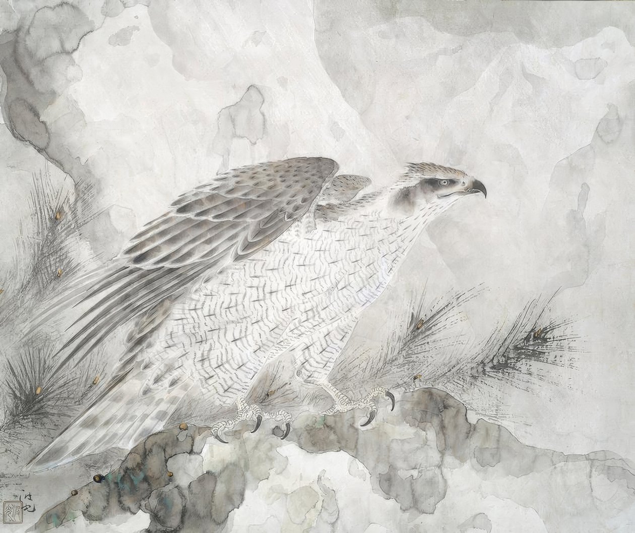 Hawk (Falke) alkotó: Irie Hako