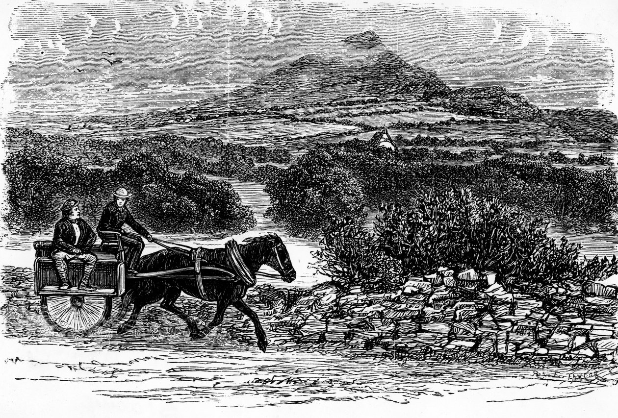 Wicklow megye, E. Taylor nyomat alkotó: Irish School