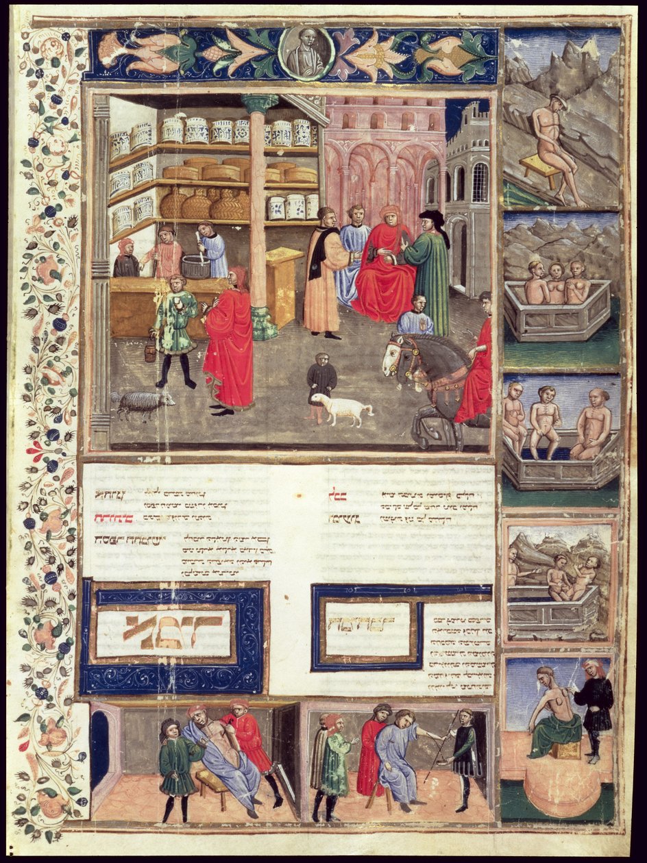 Oldal az orvostudomány kánonjából, Avicenna (Ibn Sina) (980-1037) alkotó: Islamic School