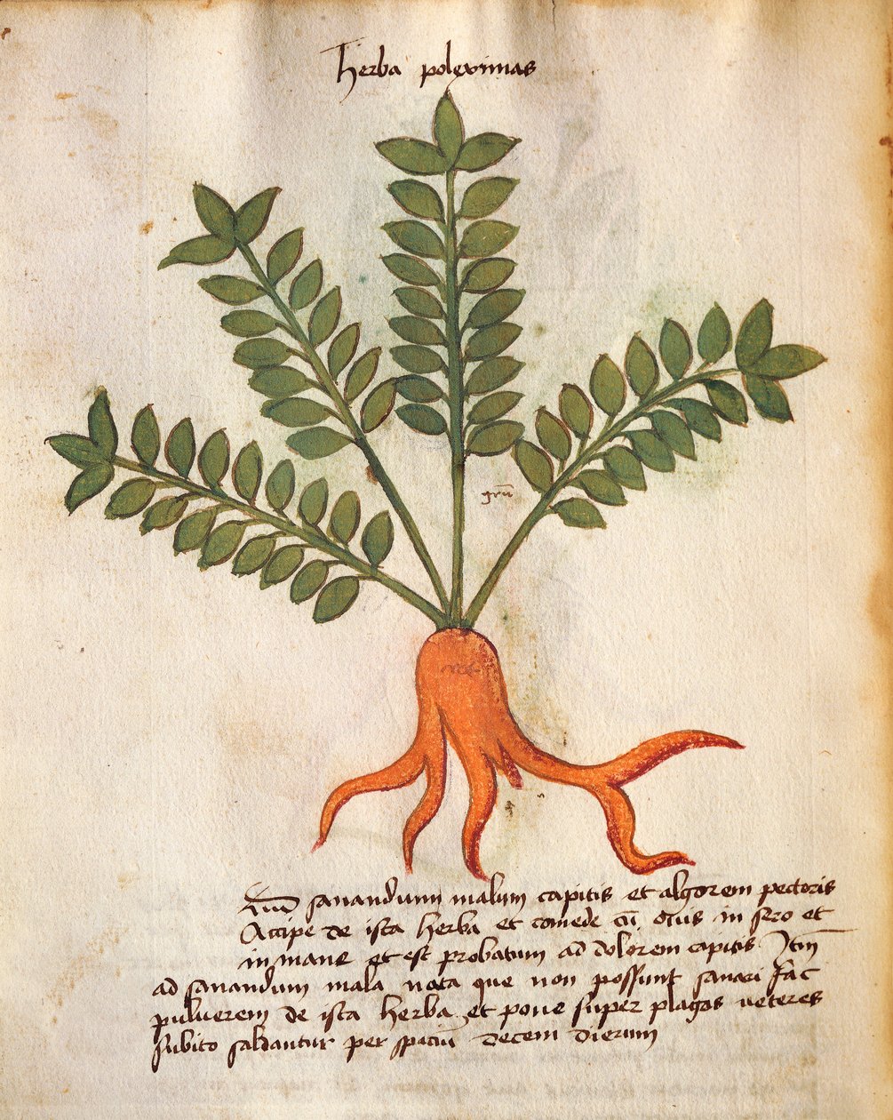 Herba Poleximos alkotó: Italian School