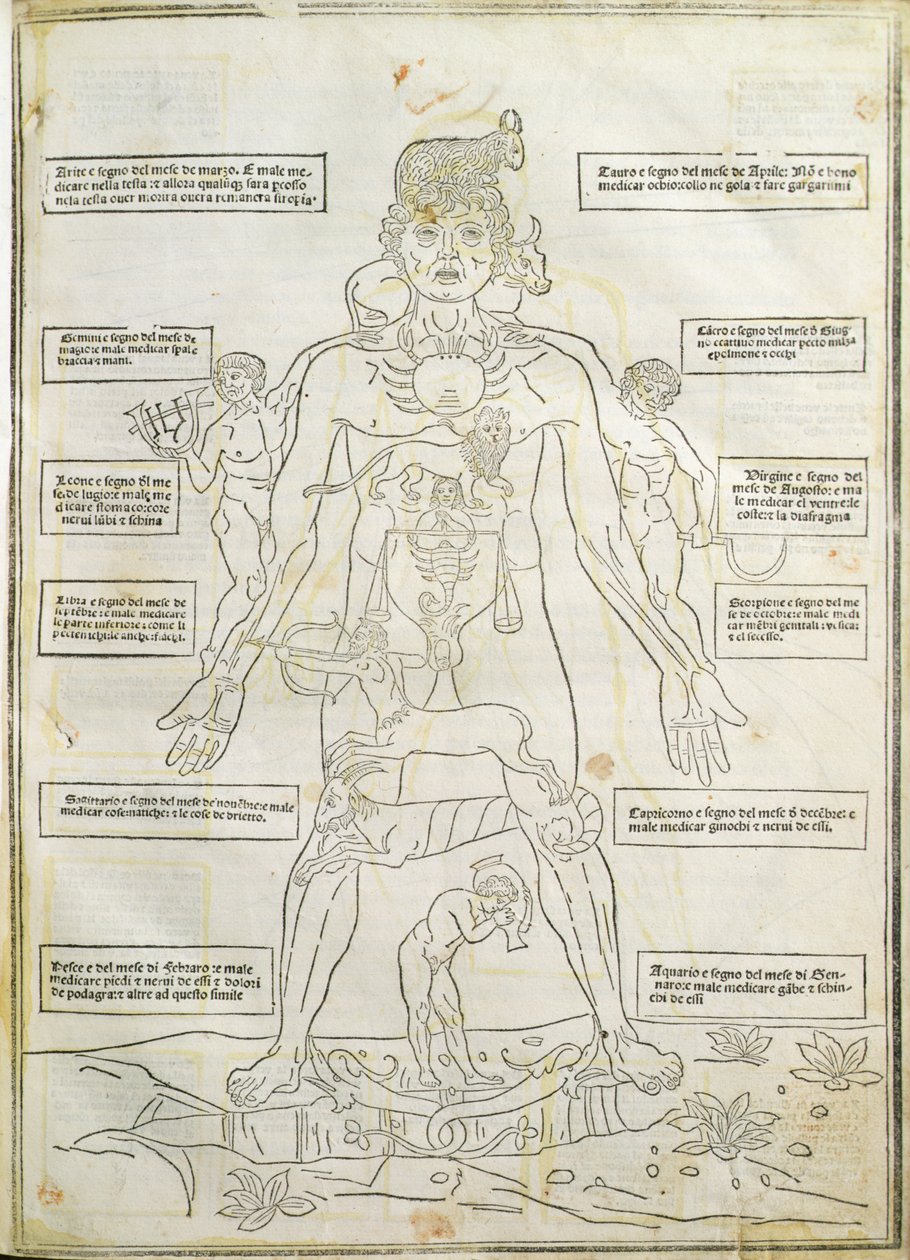 Illusztráció a "Fassiculus Medicinae" Velencéből alkotó: Italian School