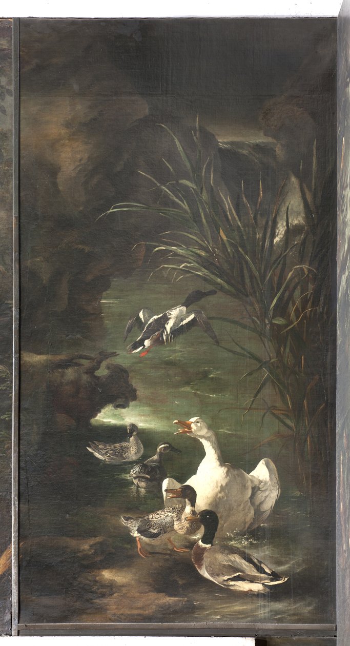Orpheusz mítosza: hattyú és kacsa, 1650-60 körül alkotó: Italian School