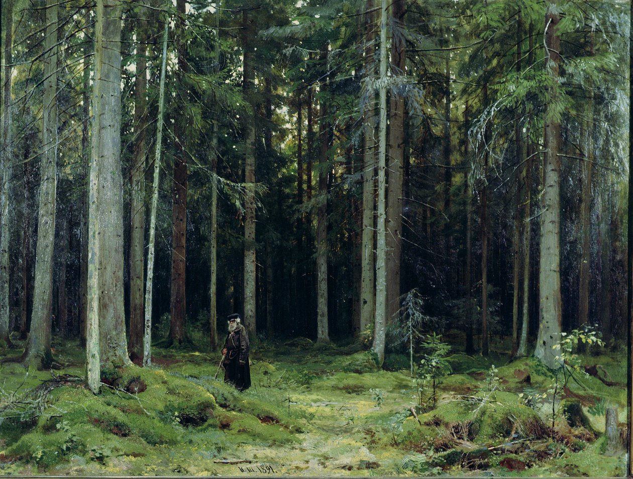 Mordvinov grófné erdeje, 1891 alkotó: Ivan Ivanovich Shishkin