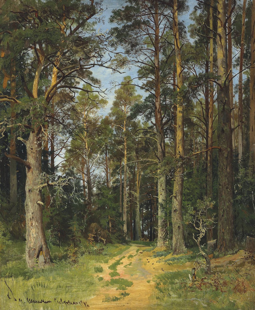 Sziverszkaja, 1896. alkotó: Ivan Ivanovich Shishkin