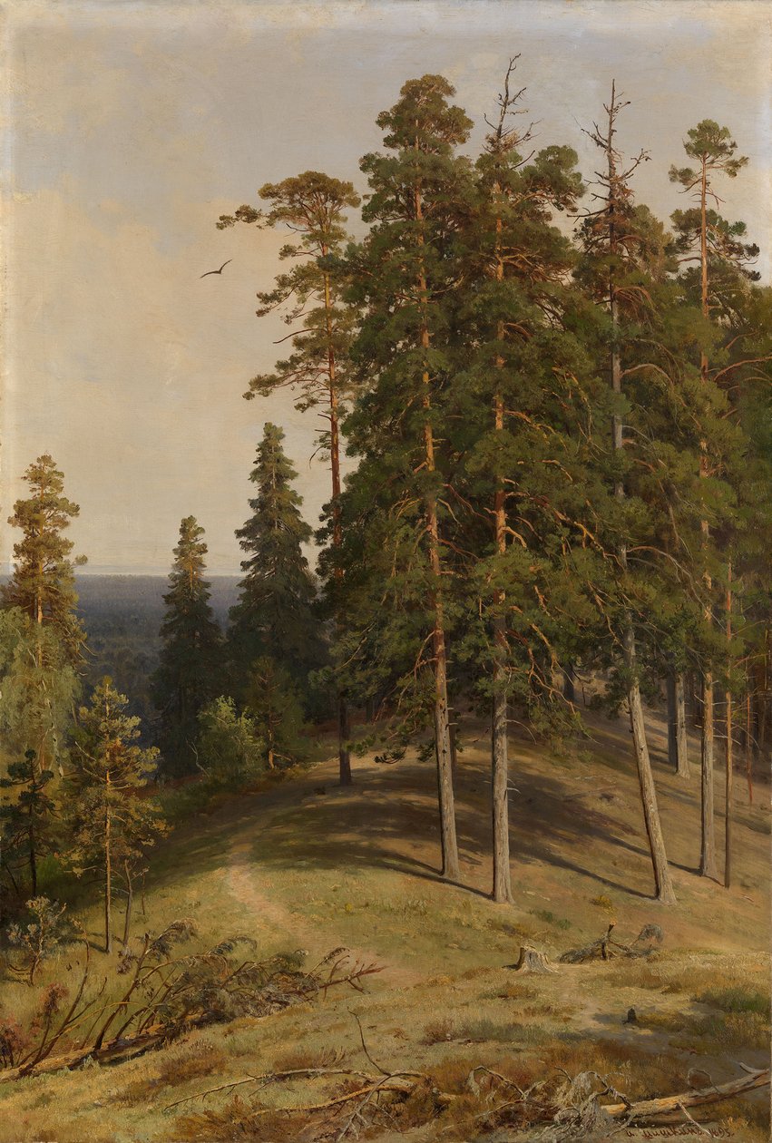 A fenyőerdő, 1895 alkotó: Ivan Ivanovich Shishkin
