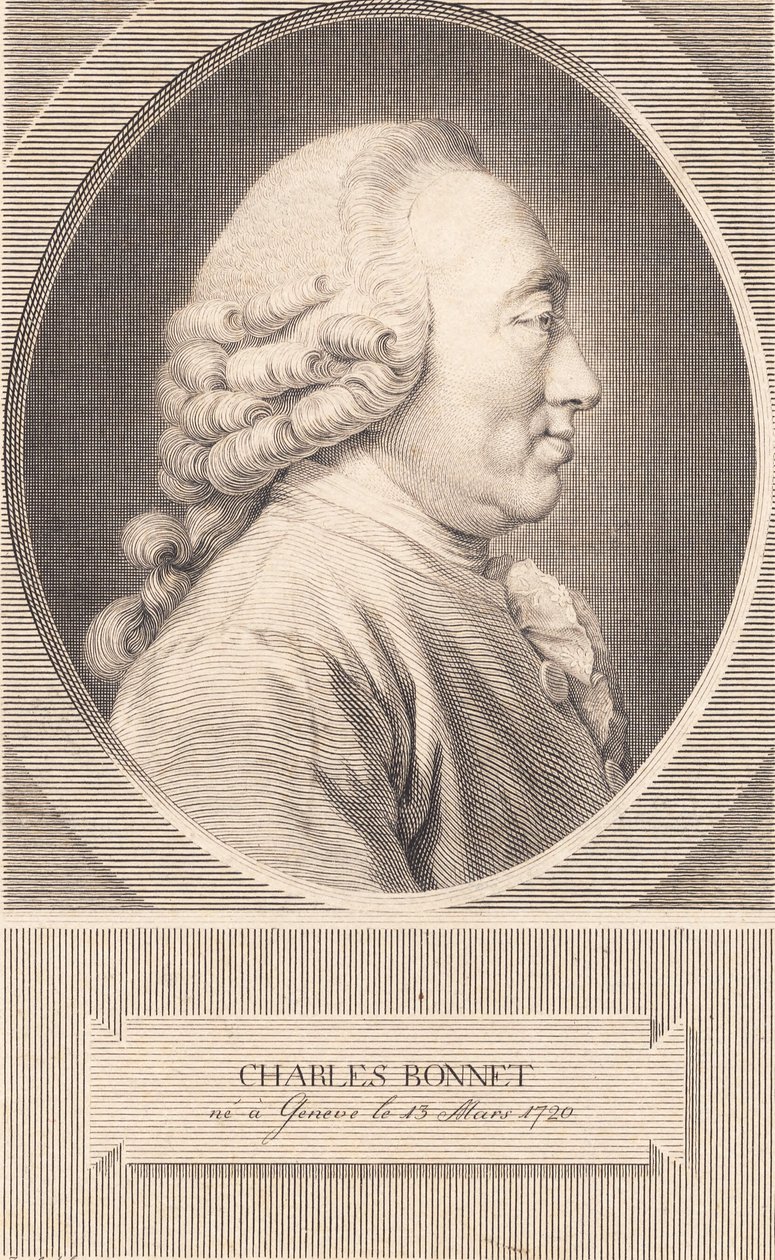 Charles Bonnet alkotó: J.F. Clemens