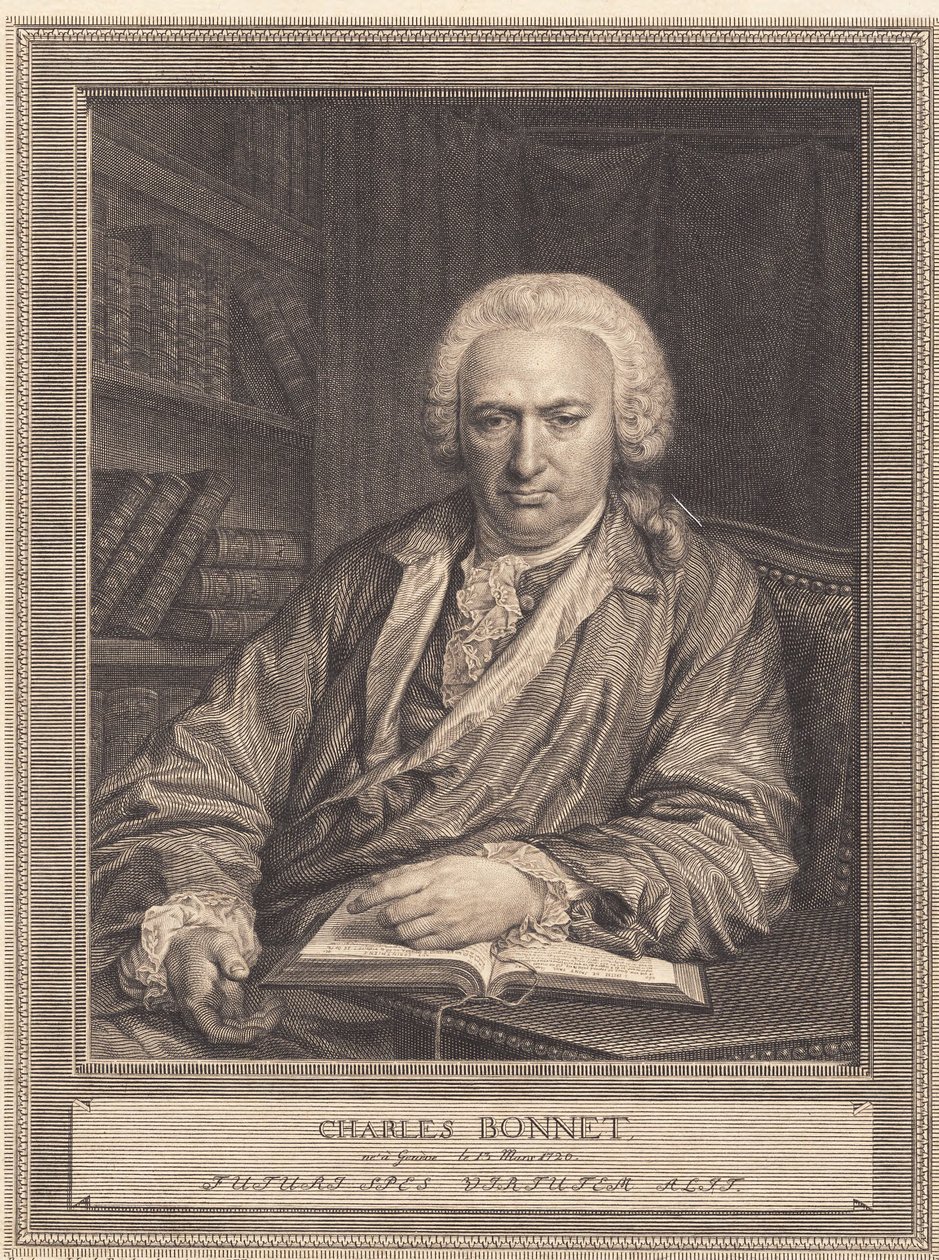Charles Bonnet alkotó: J.F. Clemens