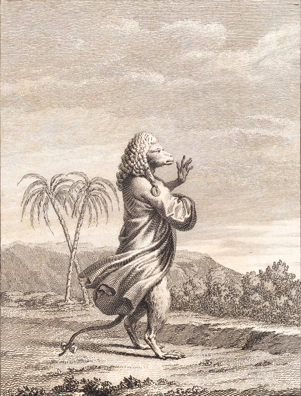 Martiniai majom macska alkotó: J.F. Clemens