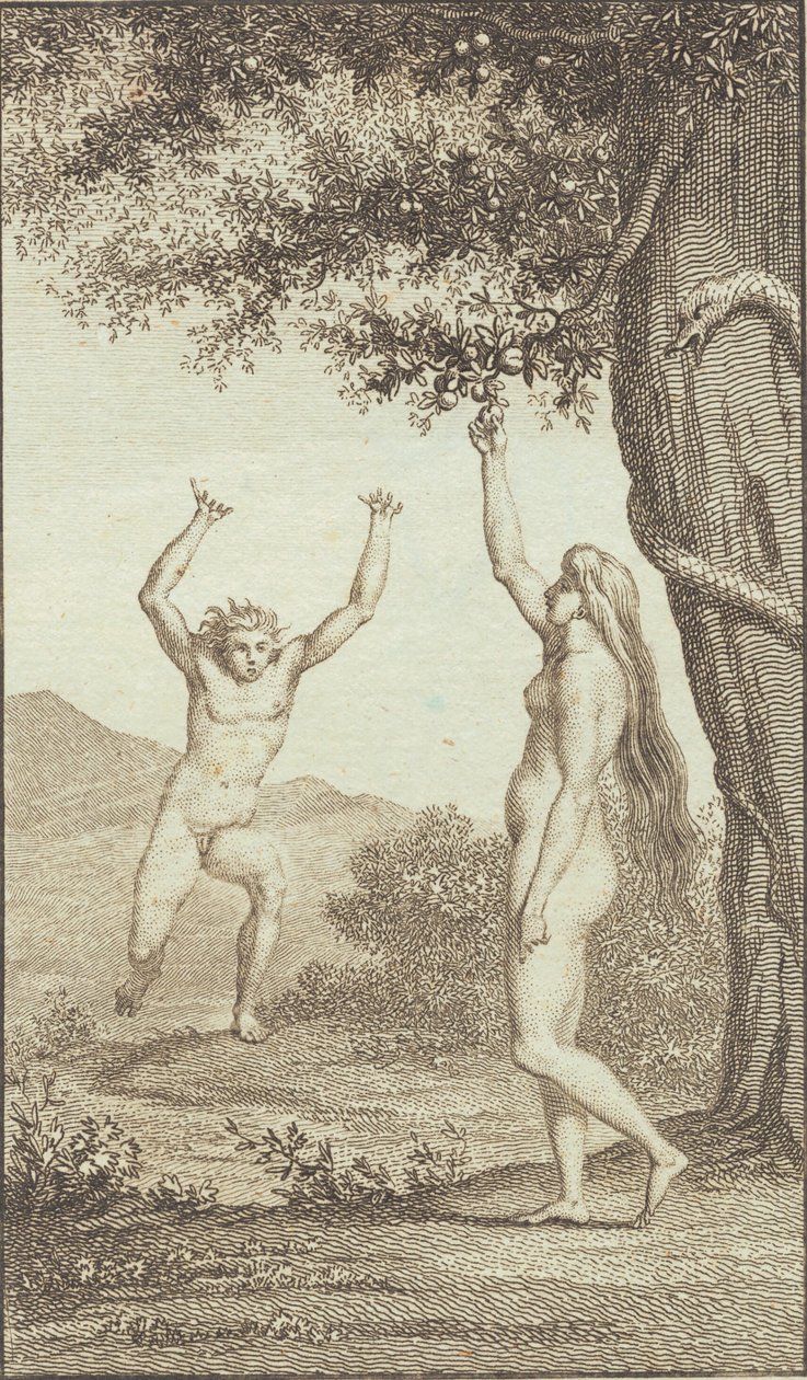 Illusztráció Ewald „Ádám és Éva” című művéhez. III alkotó: J.F. Clemens