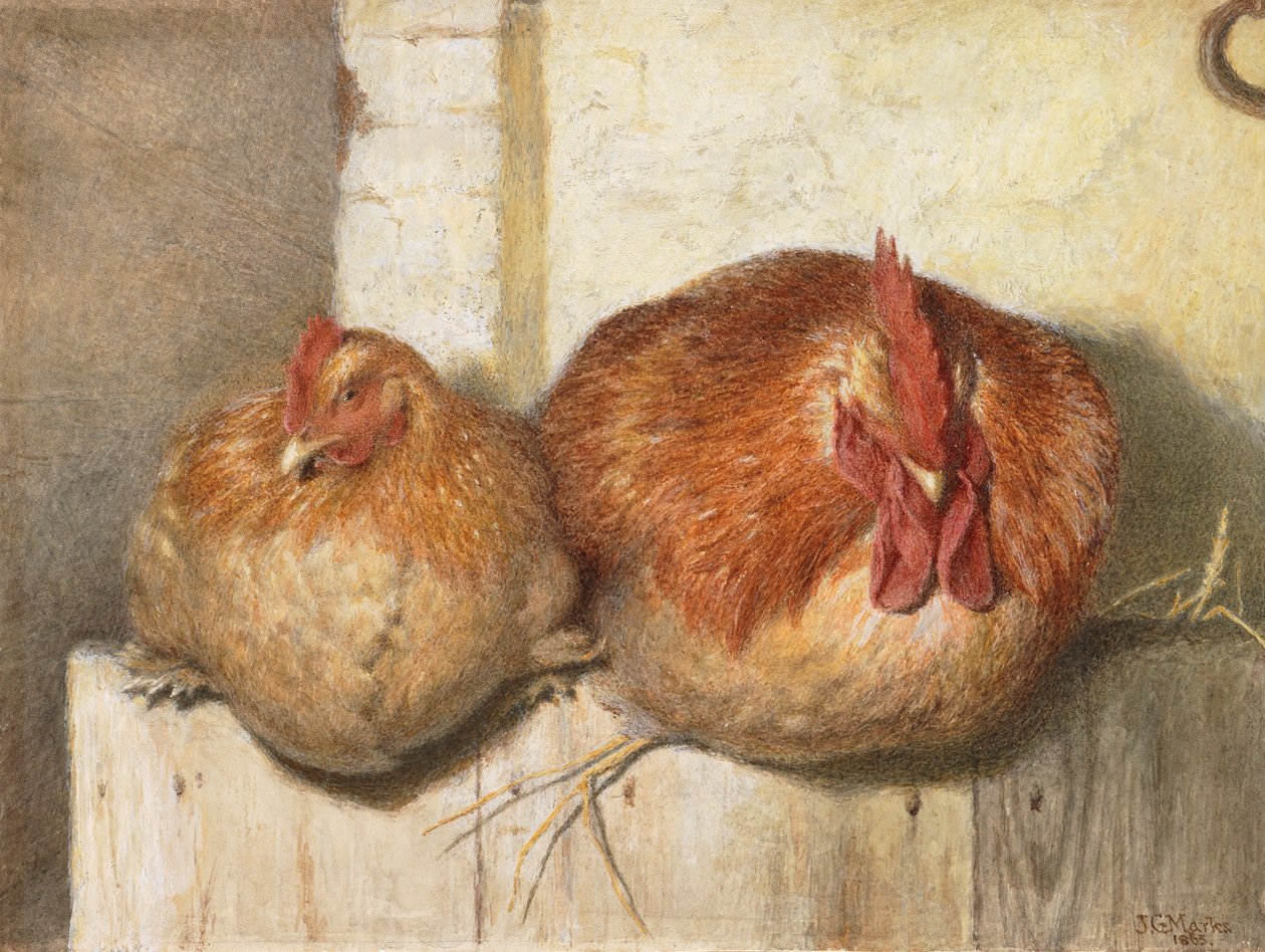 Forty Winks, 1865 (wc papíron) alkotó: J.G. Marks
