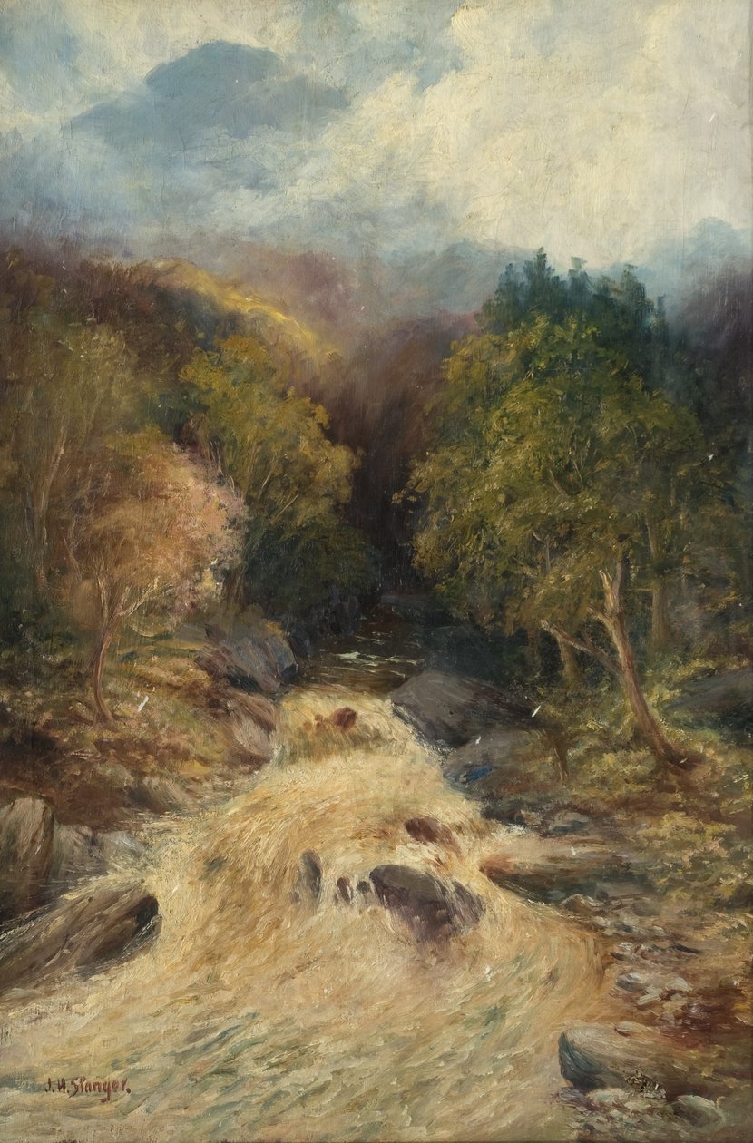 Egy hegyi erdő alkotó: J.H. Stanger