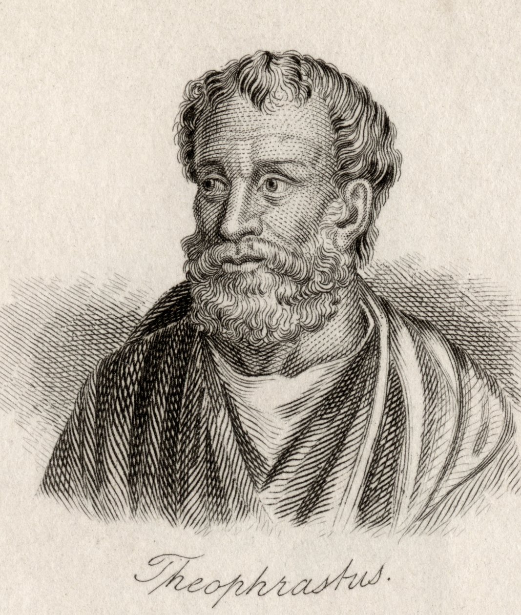 Theophrasztosz alkotó: J.W. Cook