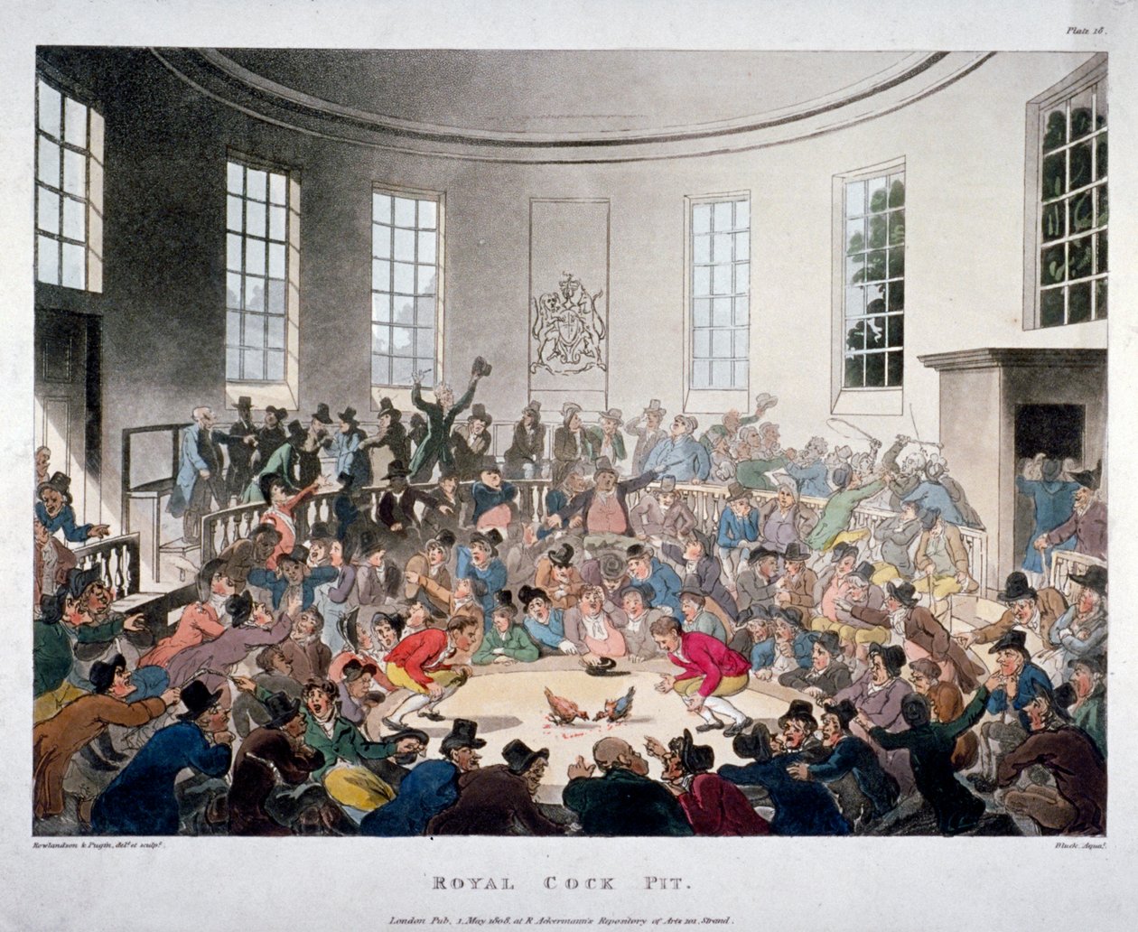 "Royal Cock Pit", 1808 alkotó: J Bluck