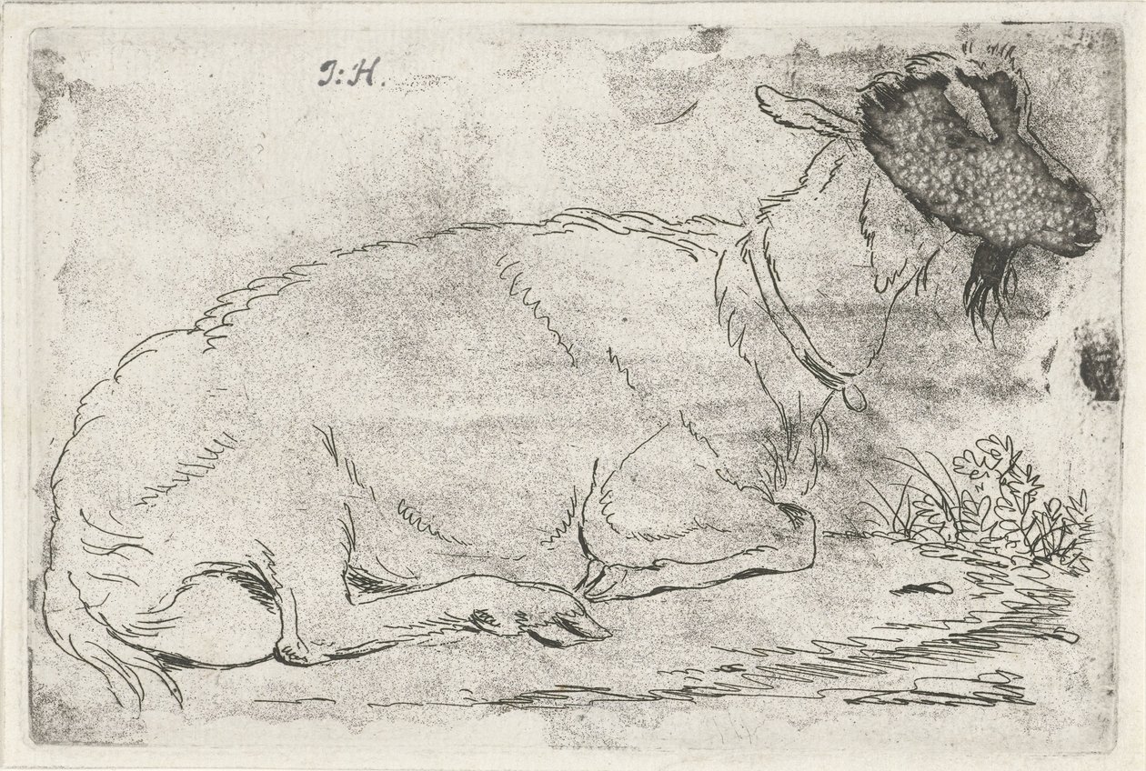 fekvő kecske alkotó: Jabes Heenck (signed by artist)