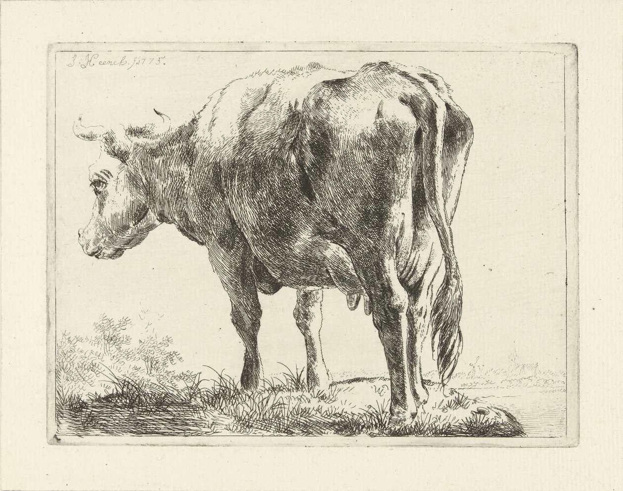 álló tehén alkotó: Jabes Heenck