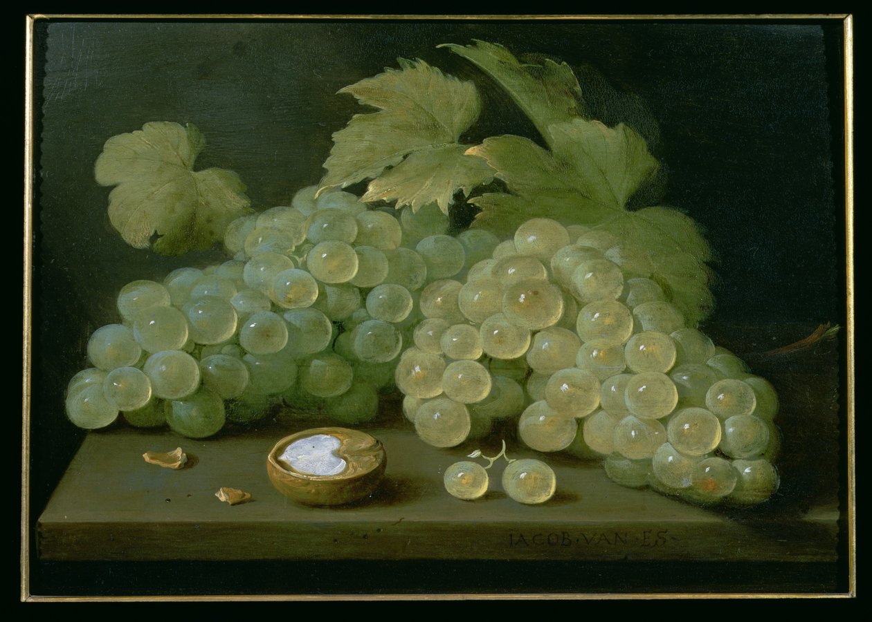 Szőlő fél dióval alkotó: Jacob  Foppens van Es