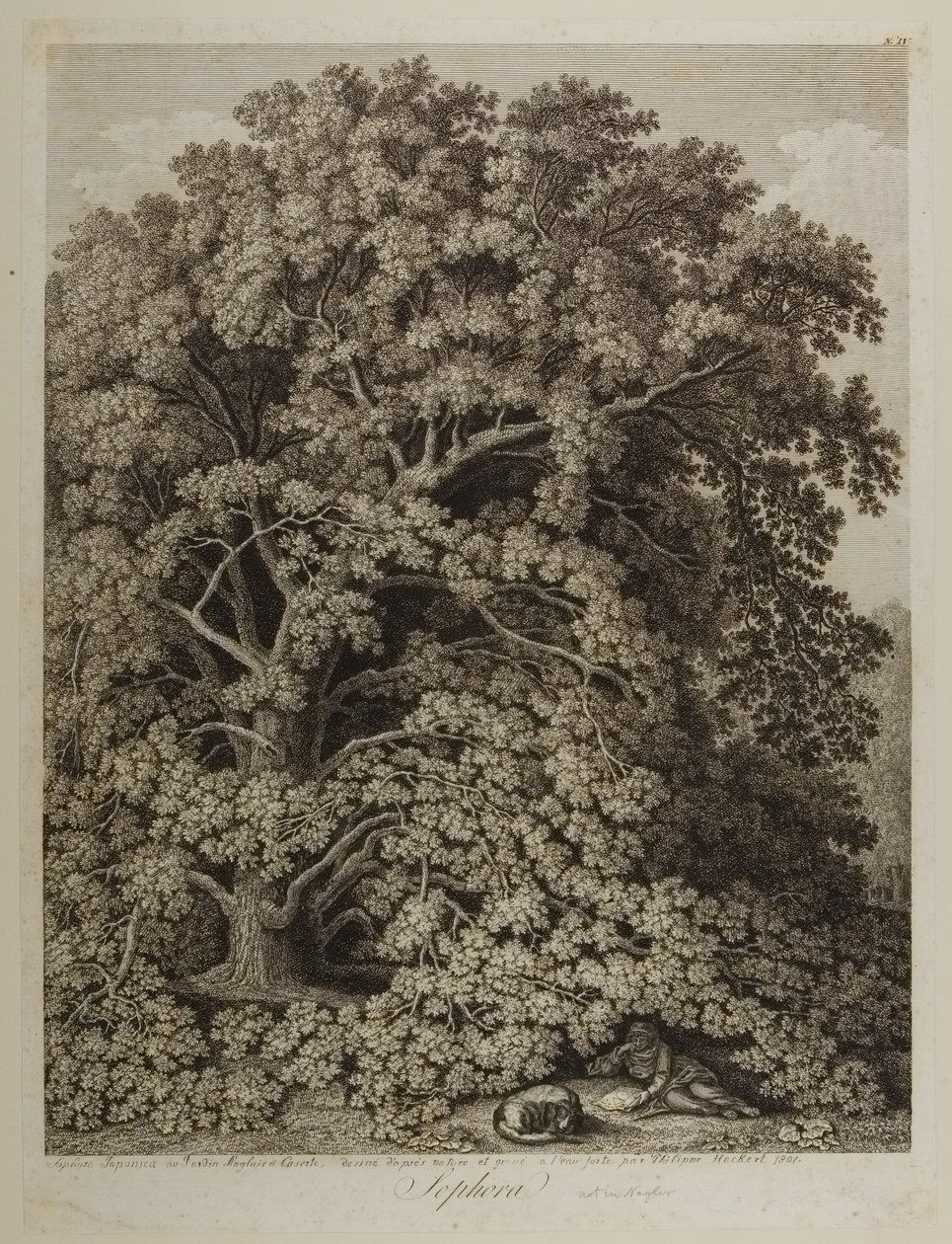 Sophora alkotó: Jacob Philippe Hackert