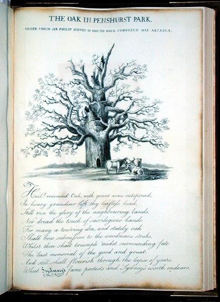 A tölgy a Penshurst Parkban alkotó: Jacob George Strutt
