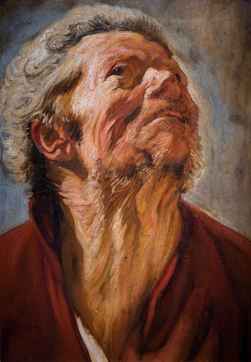 Tanulmányi vezető alkotó: Jacob Jordaens