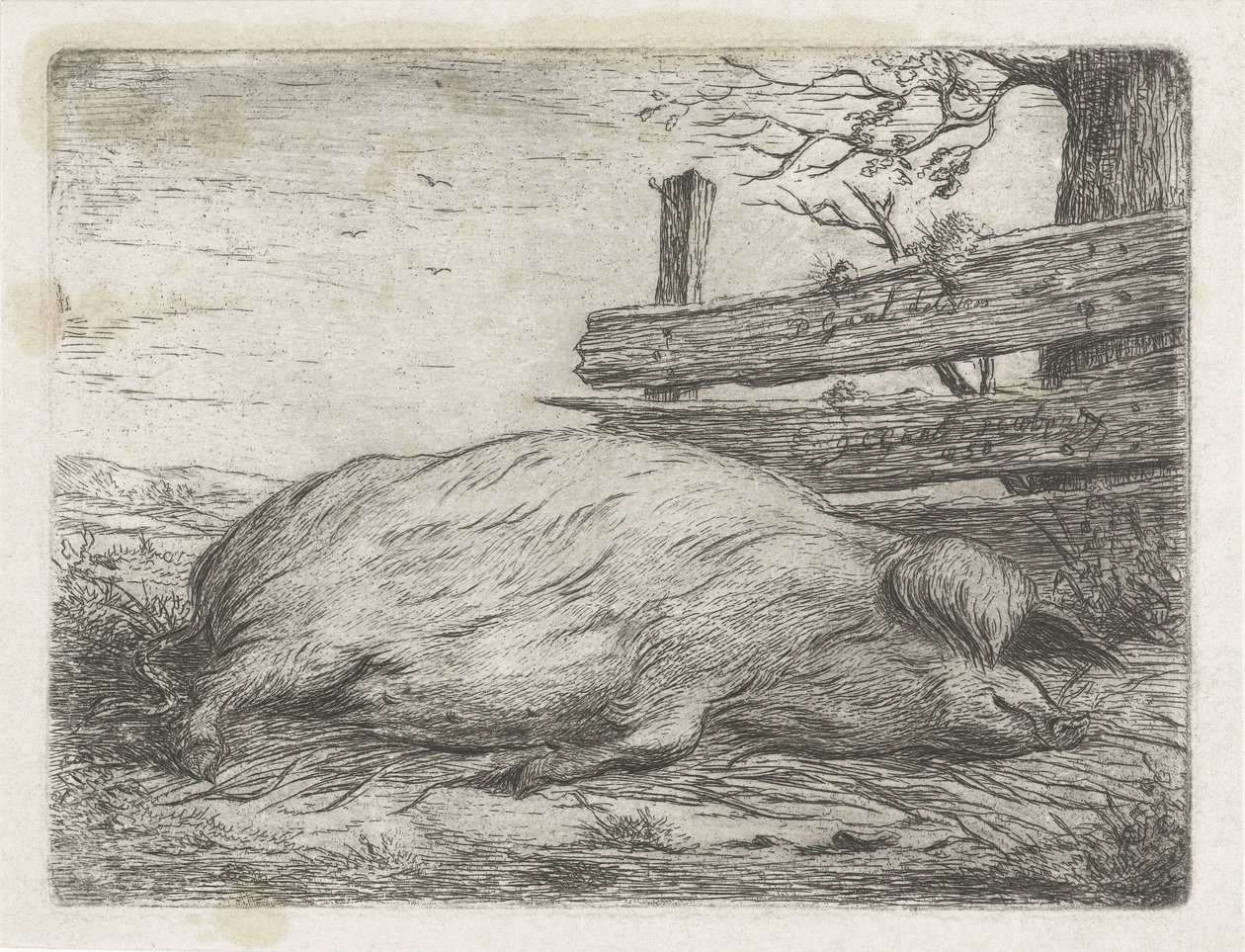 Fekvő vaddisznó alkotó: Jacobus Cornelis Gaal