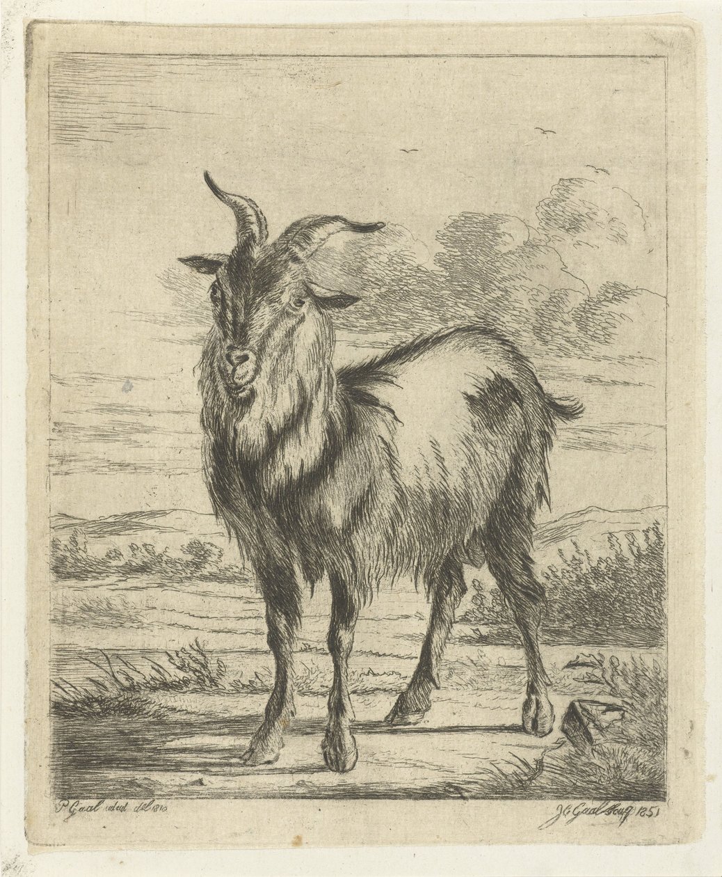 álló kecske alkotó: Jacobus Cornelis Gaal