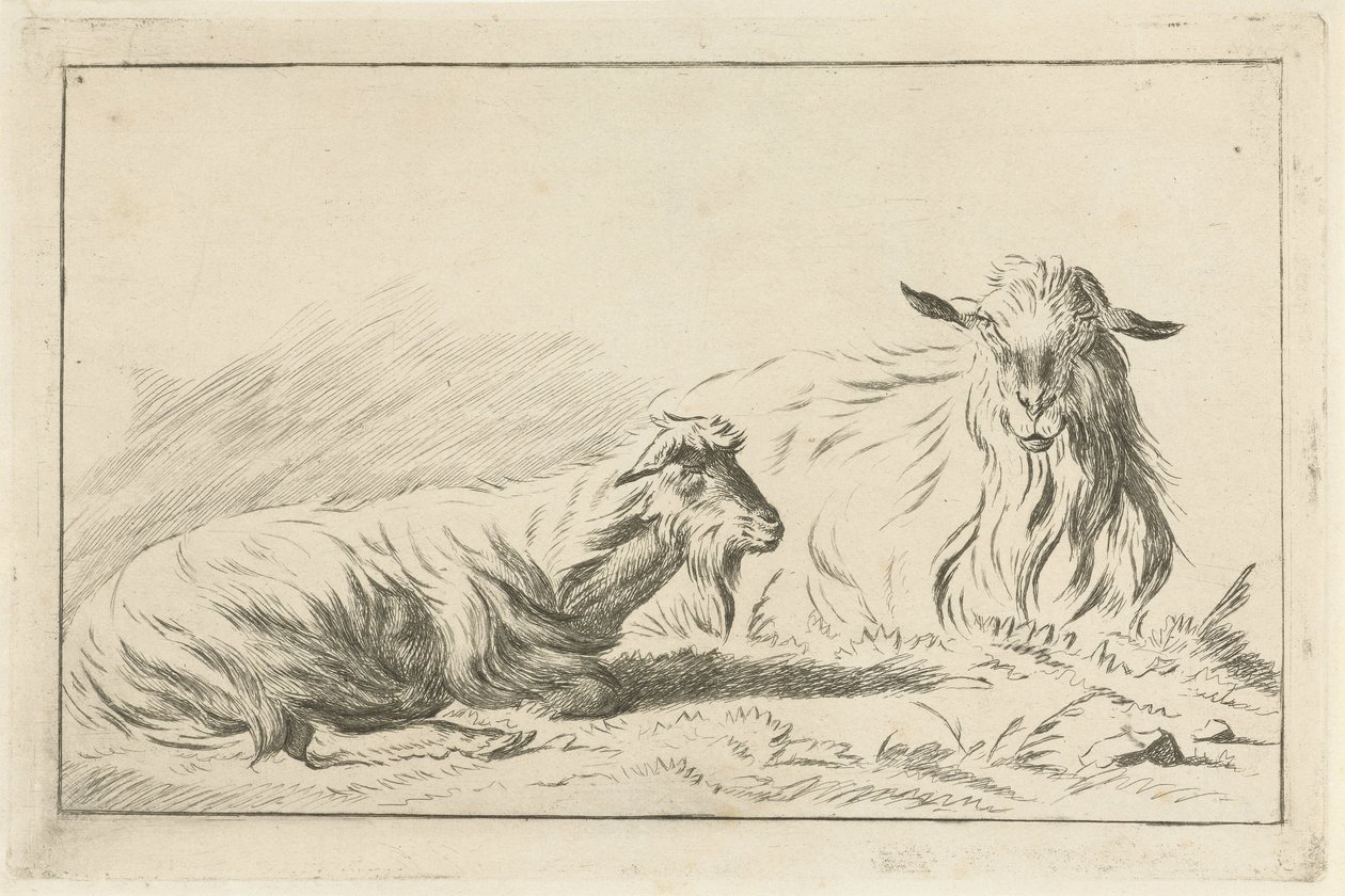 Két fekvő kecske alkotó: Jacobus Cornelis Gaal