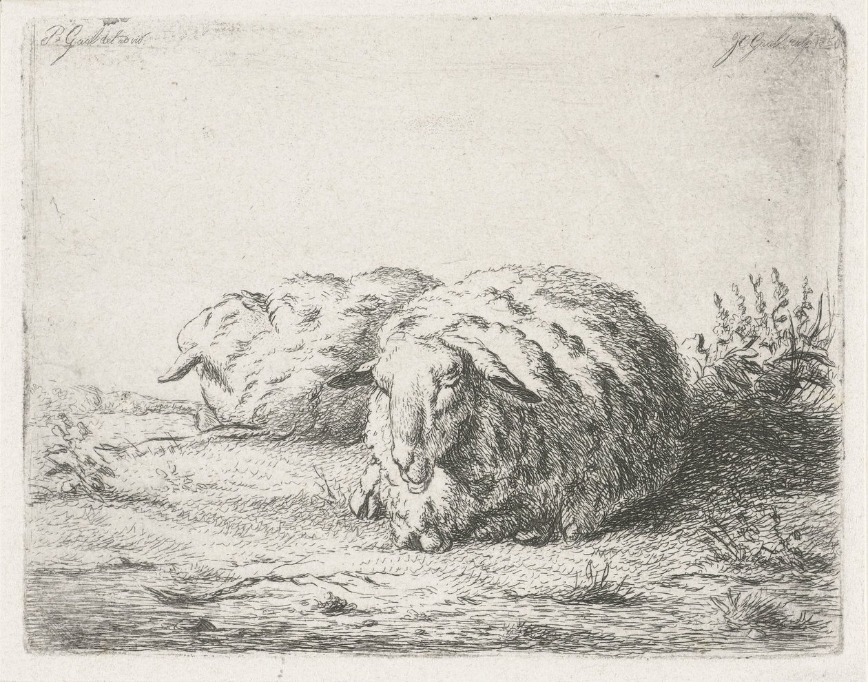 Két fekvő bárány alkotó: Jacobus Cornelis Gaal