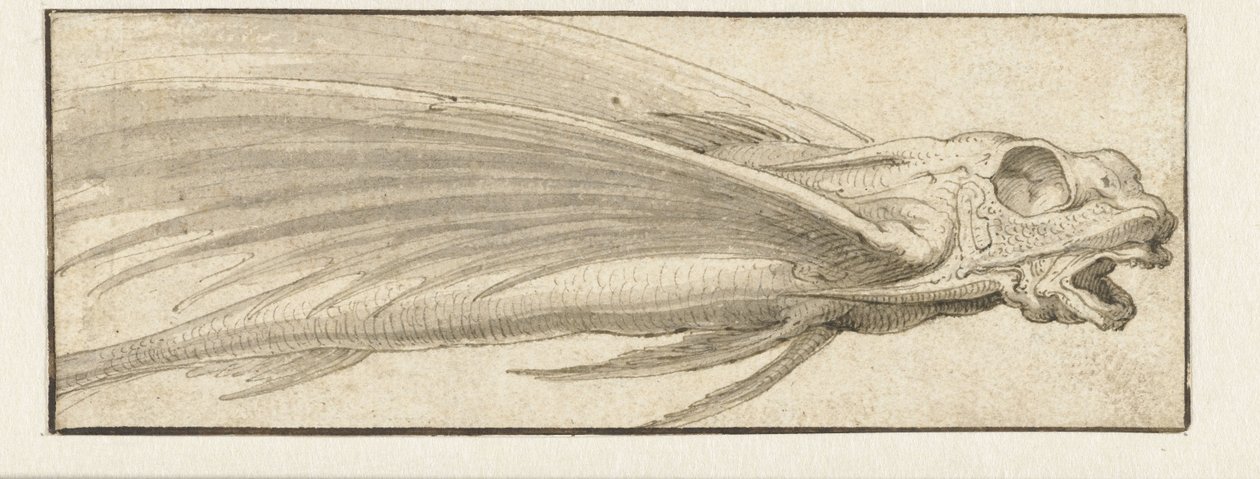 Repülő hal alkotó: Jacopo Ligozzi