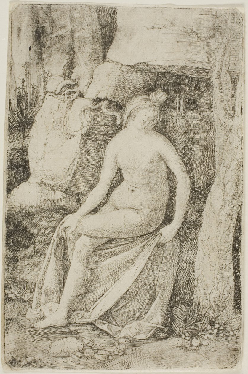 Kleopátra alkotó: Jacopo de