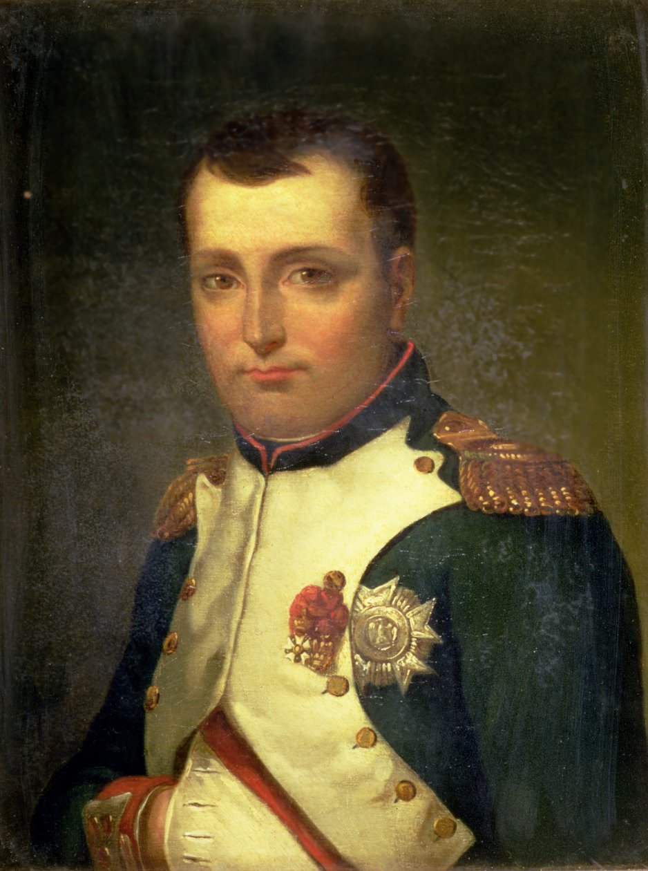 Napóleon Bonaparte (1769-1821) alkotó: Jacques Louis David
