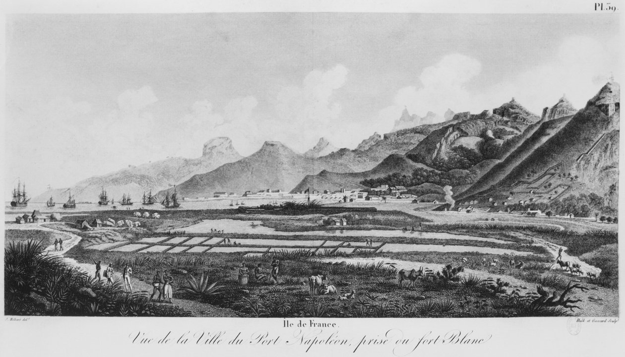 Franciaország szigete (Mauritius), kilátás a Port-Napoleonra (bw metszet) alkotó: Jacques Milbert