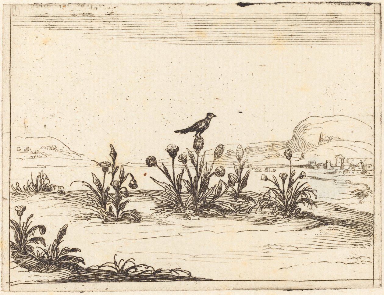 Madár ült a bogáncsban alkotó: Jacques Callot